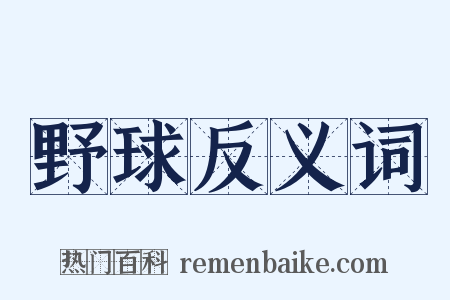 野球反义词是什么意思的图片